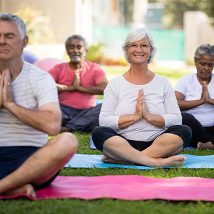 Ageless Mobility: Yoga for Seniors