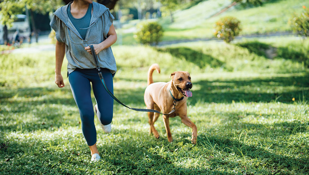 When Knees Hurt, Movement Helps